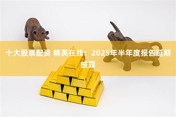 十大股票配资 精英在线：2025年半年度报告延期披露