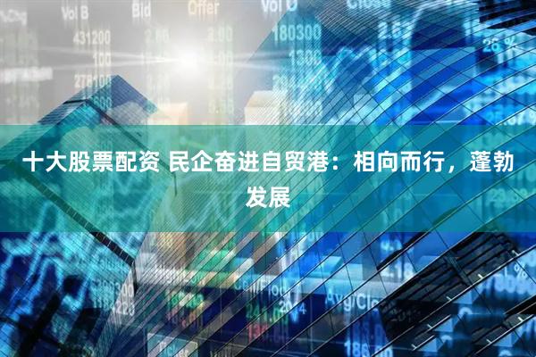十大股票配资 民企奋进自贸港：相向而行，蓬勃发展